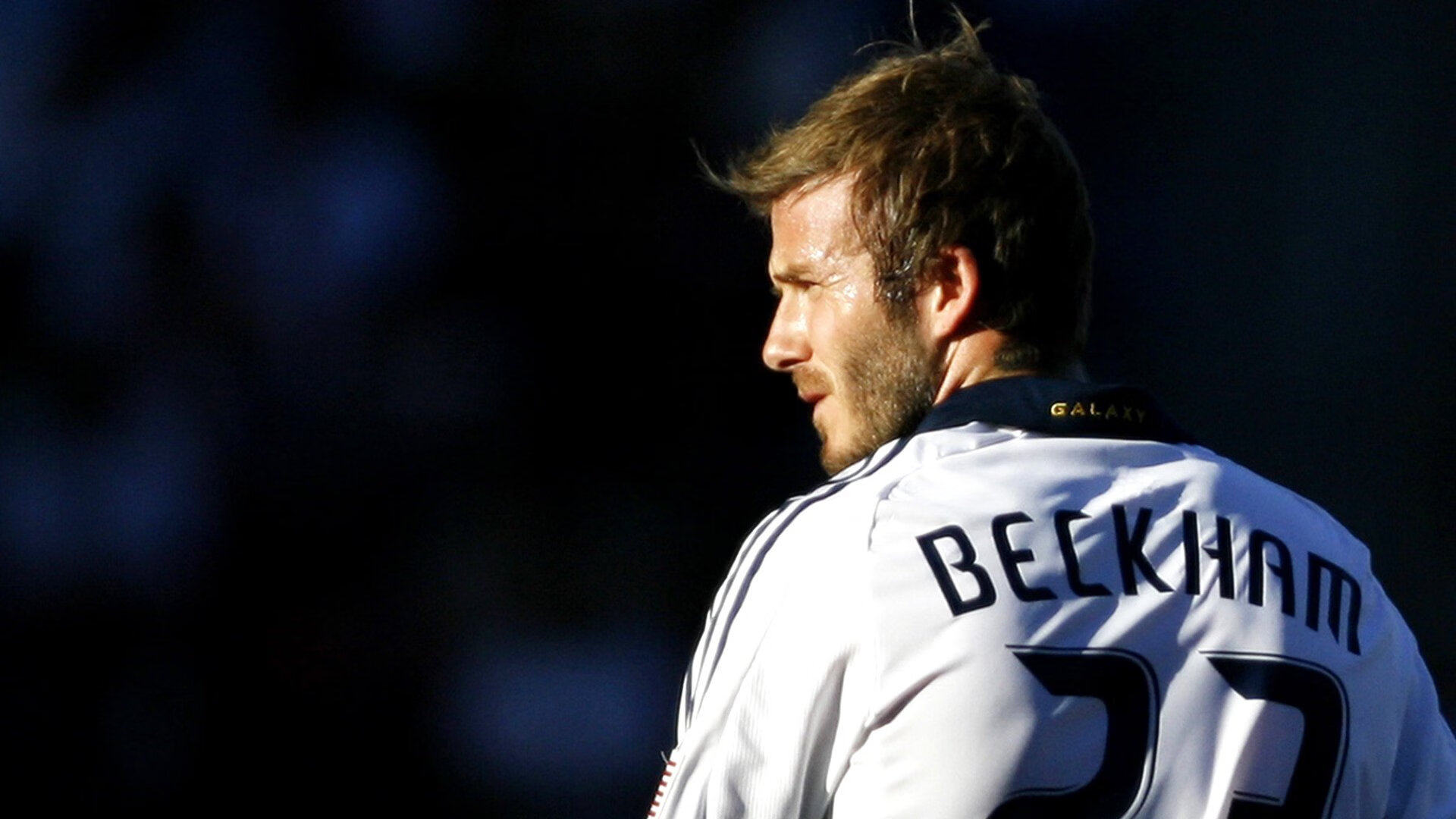 德国马术协会与科技公司合作，开发虚拟现实训练平台，提升骑手技能。